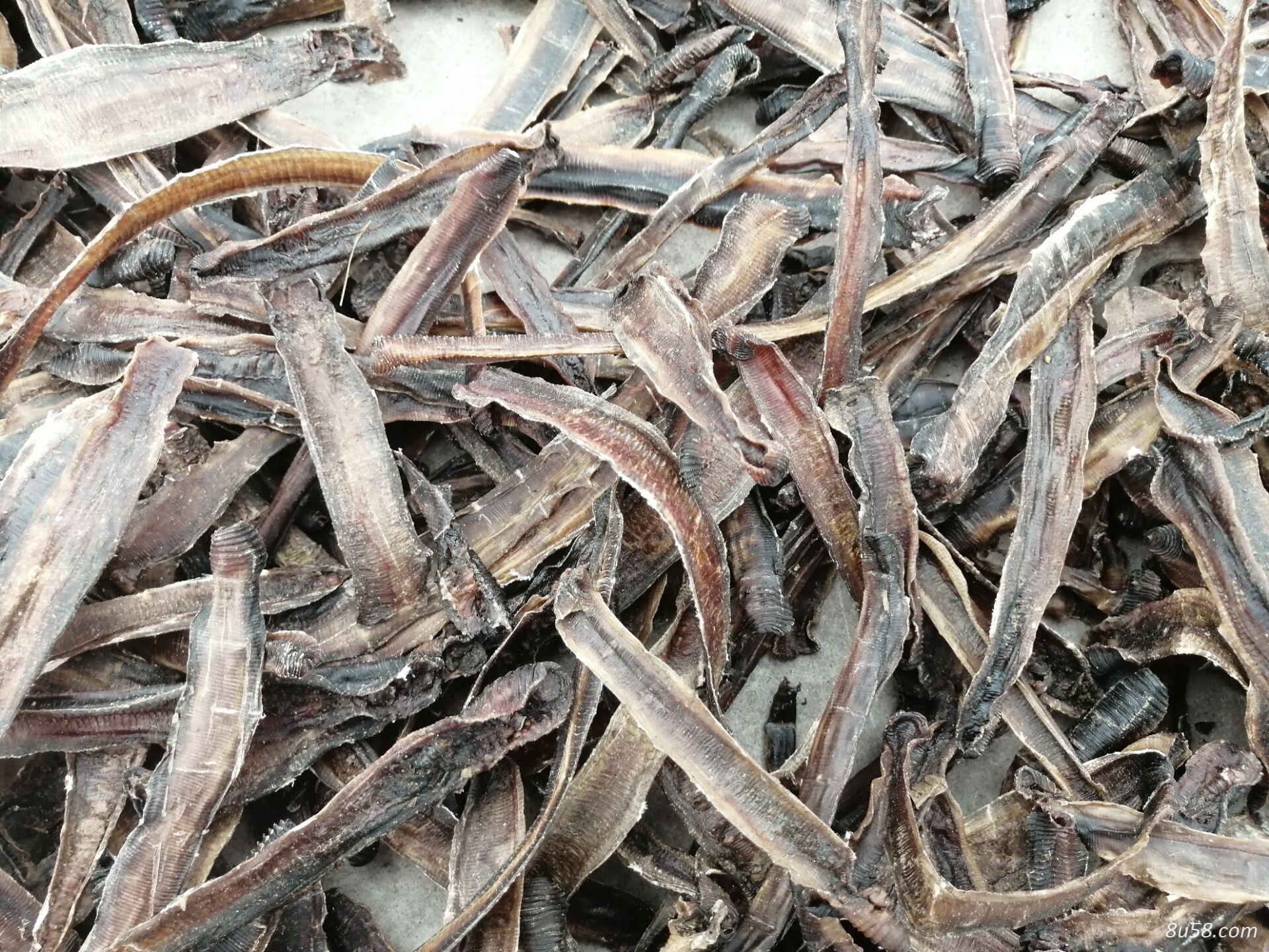 野生地龙干货