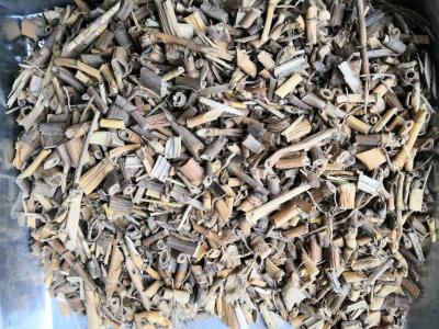 包含量芦根 投料芦根大货供应