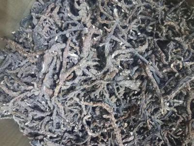 有没有收石菖蒲的