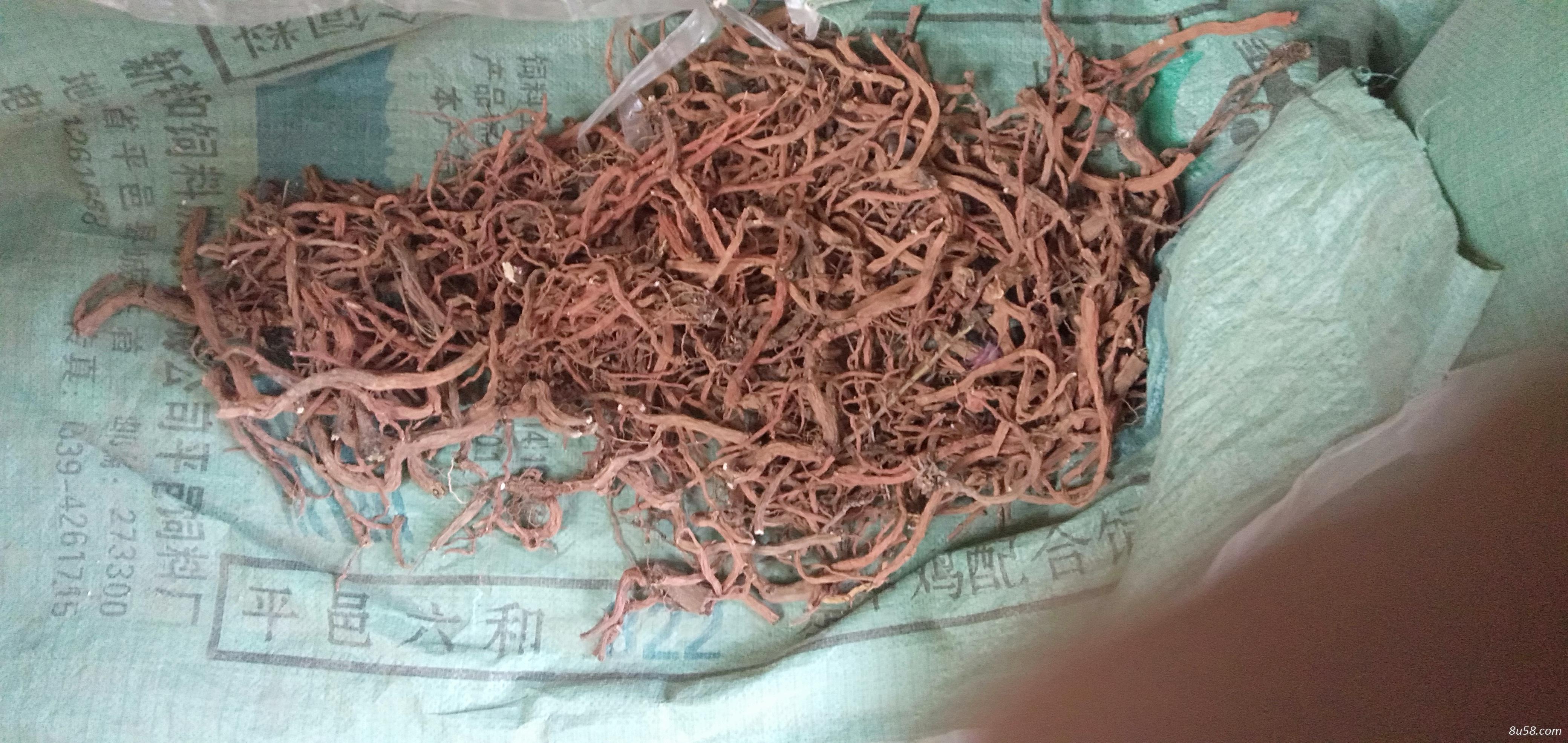 红丹参干货（通货）
