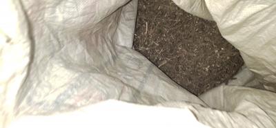 石菖蒲