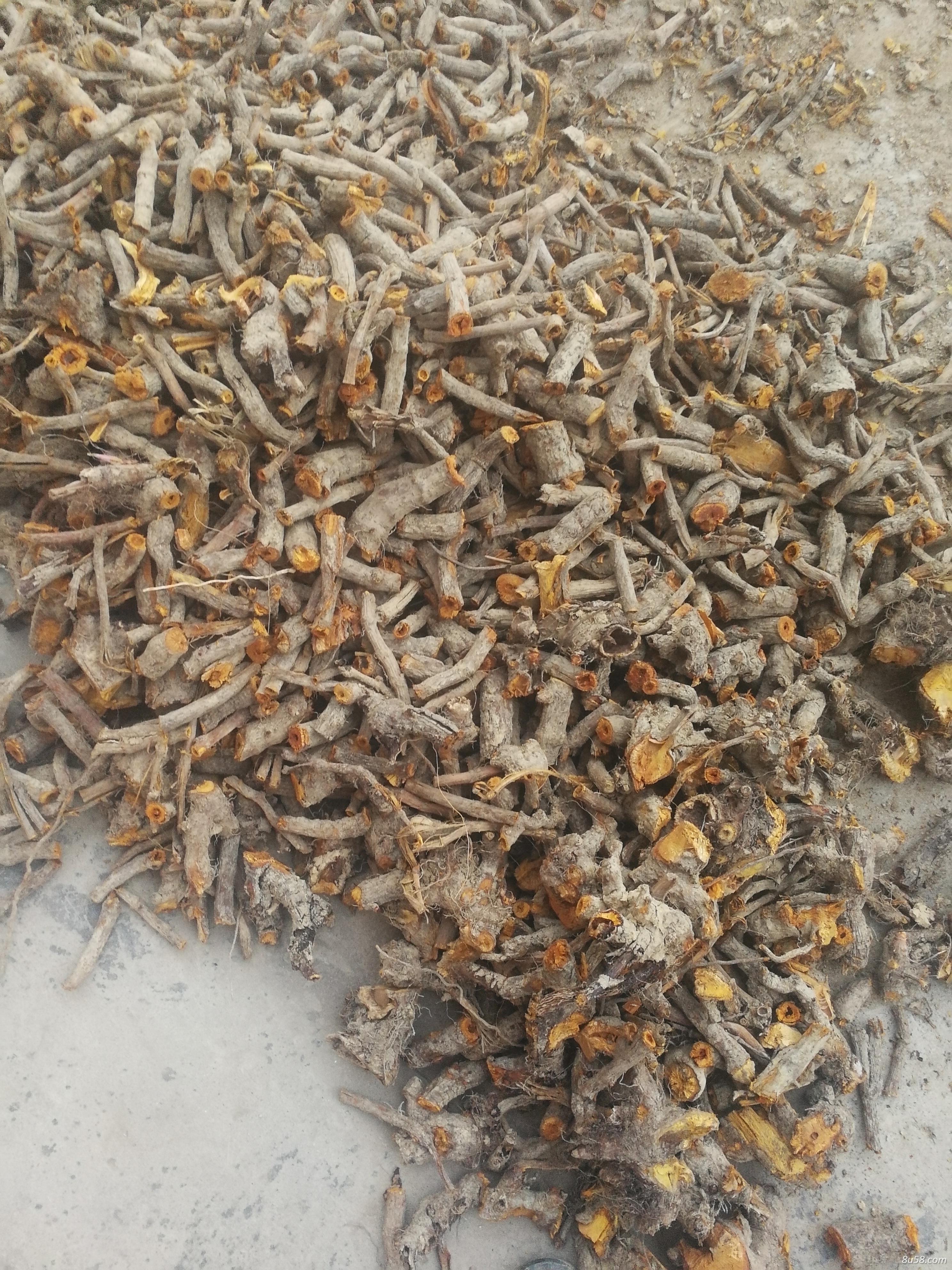 野生干鲜货虎杖根