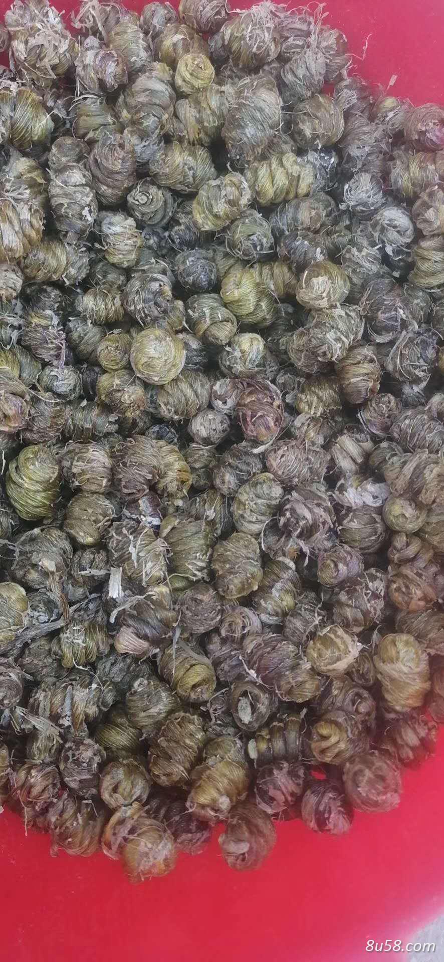 铁皮石斛枫斗 铁皮石斛枫斗