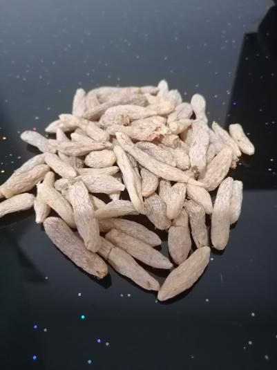 麦冬批发（不收购）