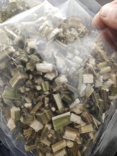益母草预售