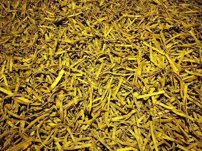 大量出售黄柏，有需要的老板可以联系我、大概两万斤左右