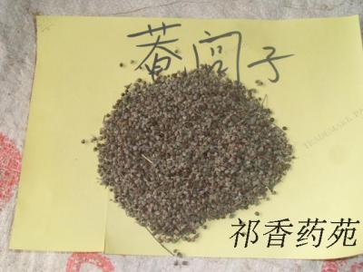 庵闾子哪里能买到 中药材批发零售