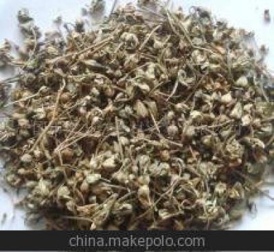 白残花哪里能买到 中药材批发零售
