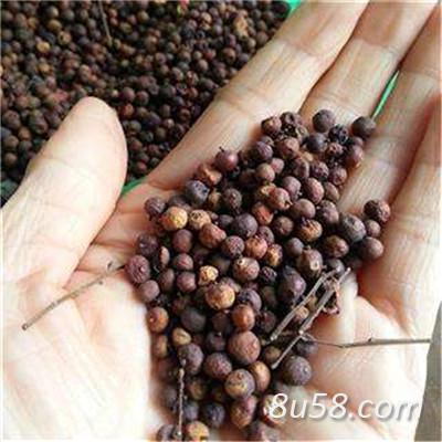 酸藤果哪里能买到 中药材批发零售