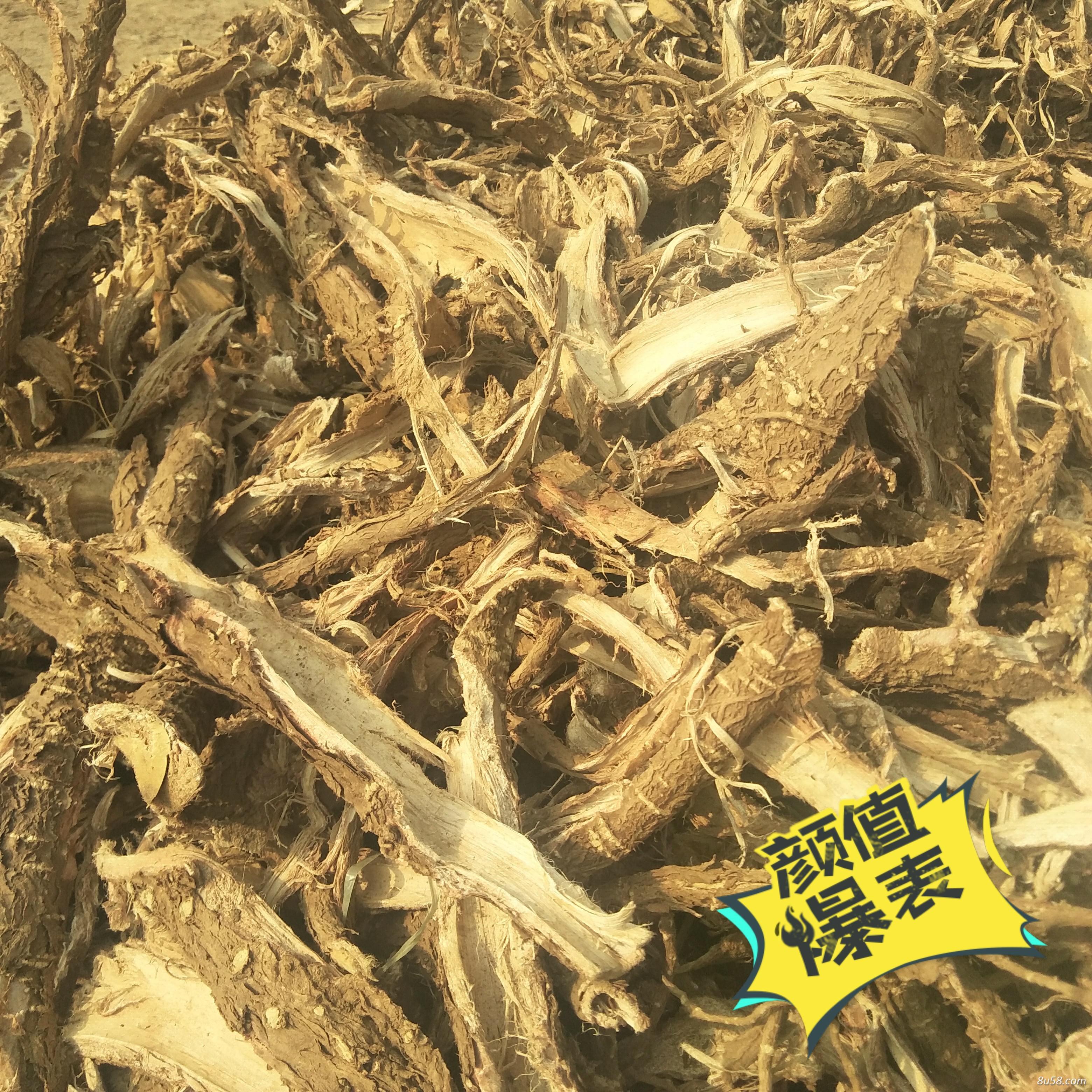 银杏树根皮
