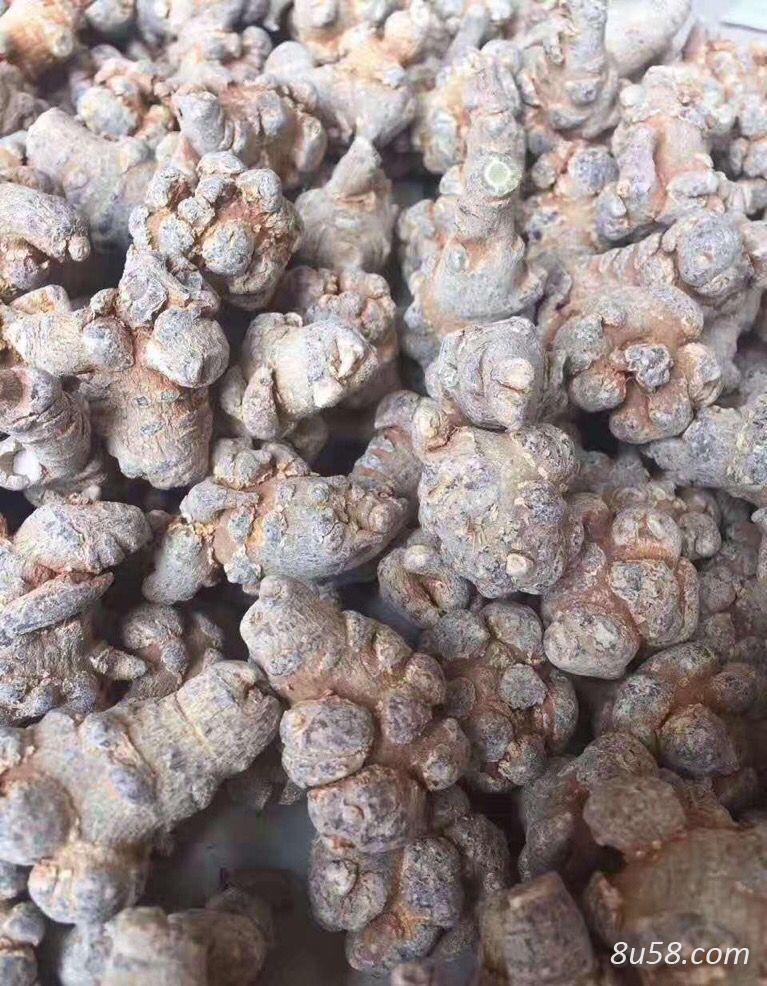 供应各种规格云南文山三七