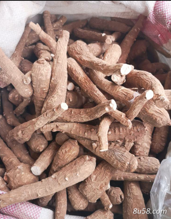 自家种的白芷10吨左右！干货！有需要的联系我