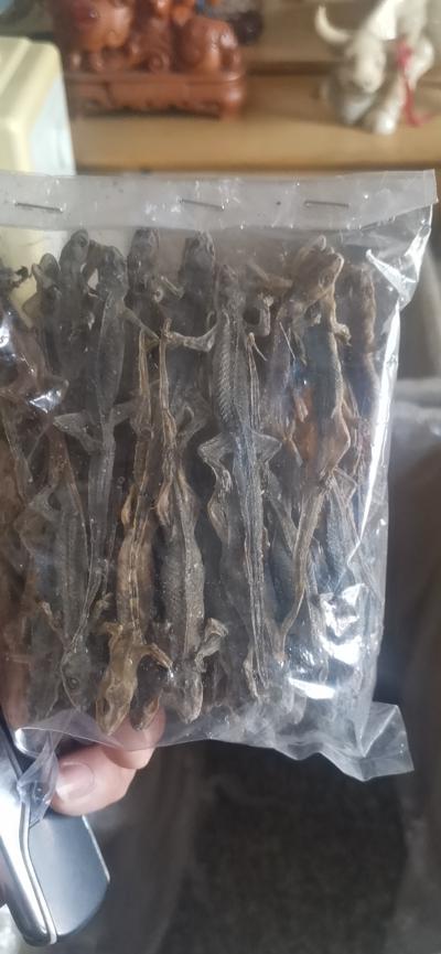 壁虎干哪里能买到 中药材壁虎批发零售