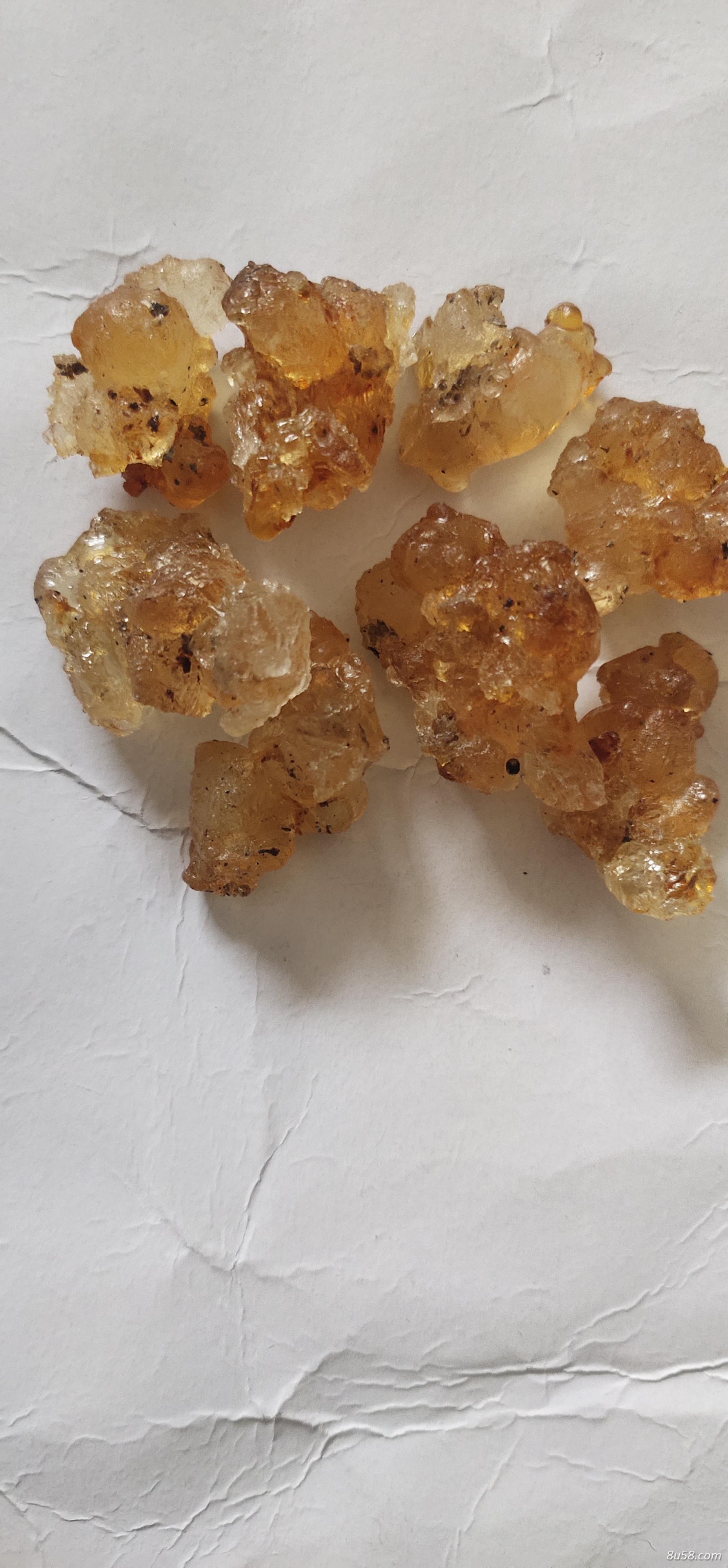 优秀质桃胶