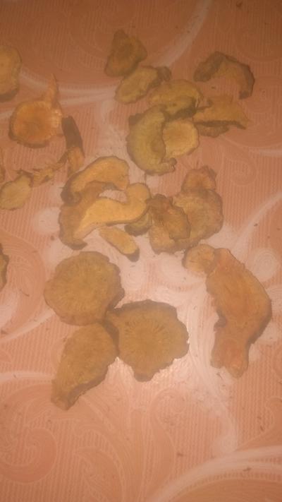 野生五年以上的虎杖