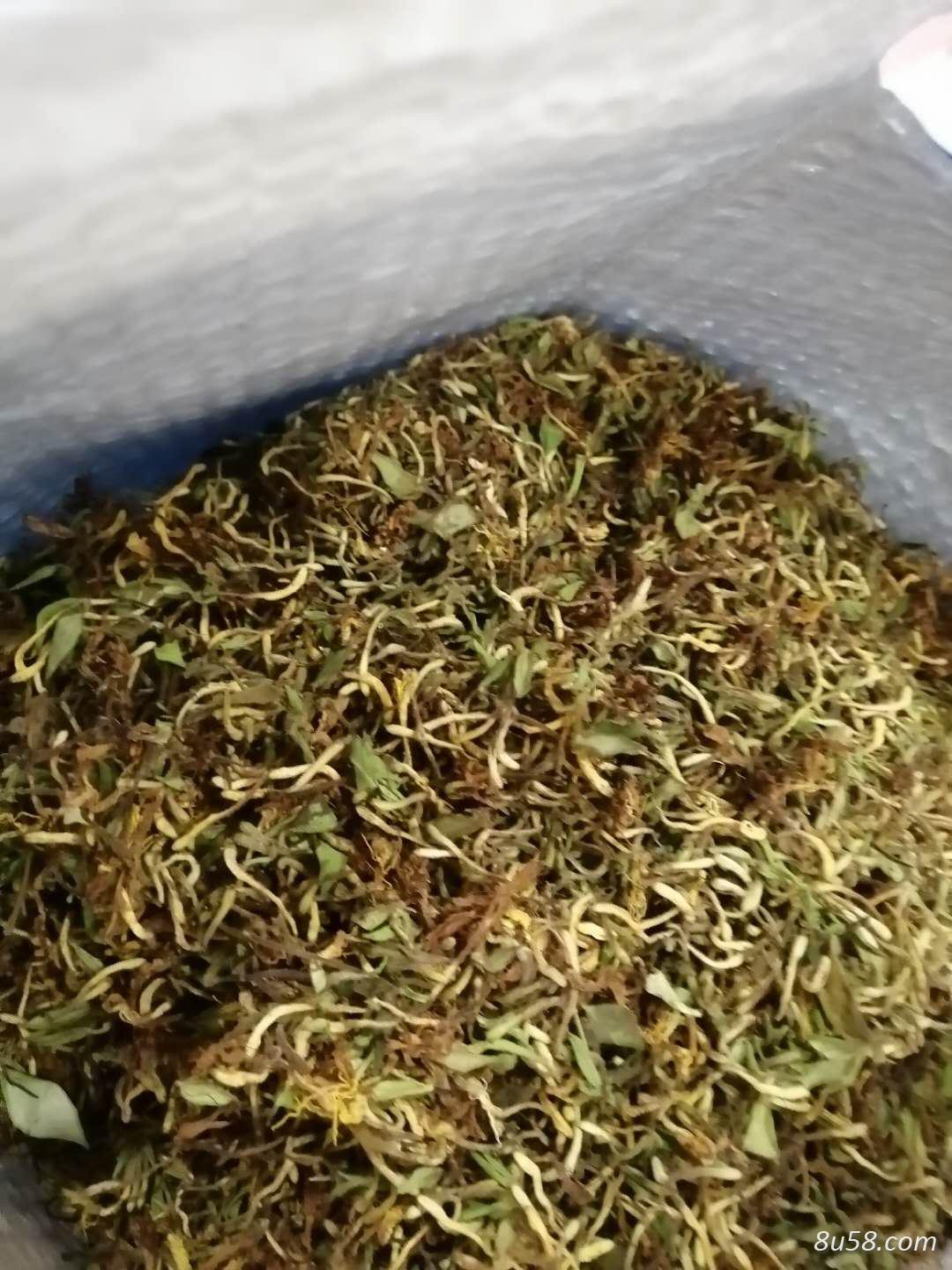 高山纯野生花苞型金银花 高山纯野生花苞型金银花