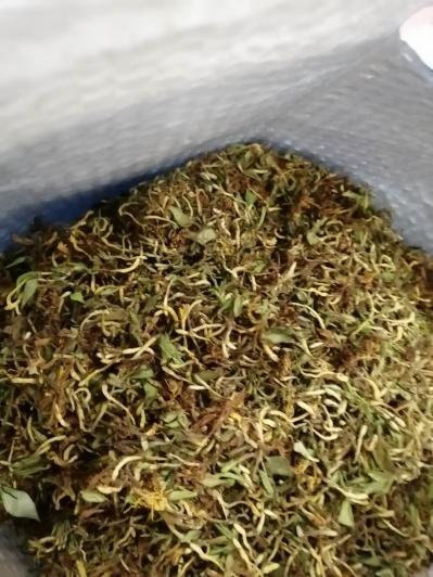 高山纯野生花苞型金银花