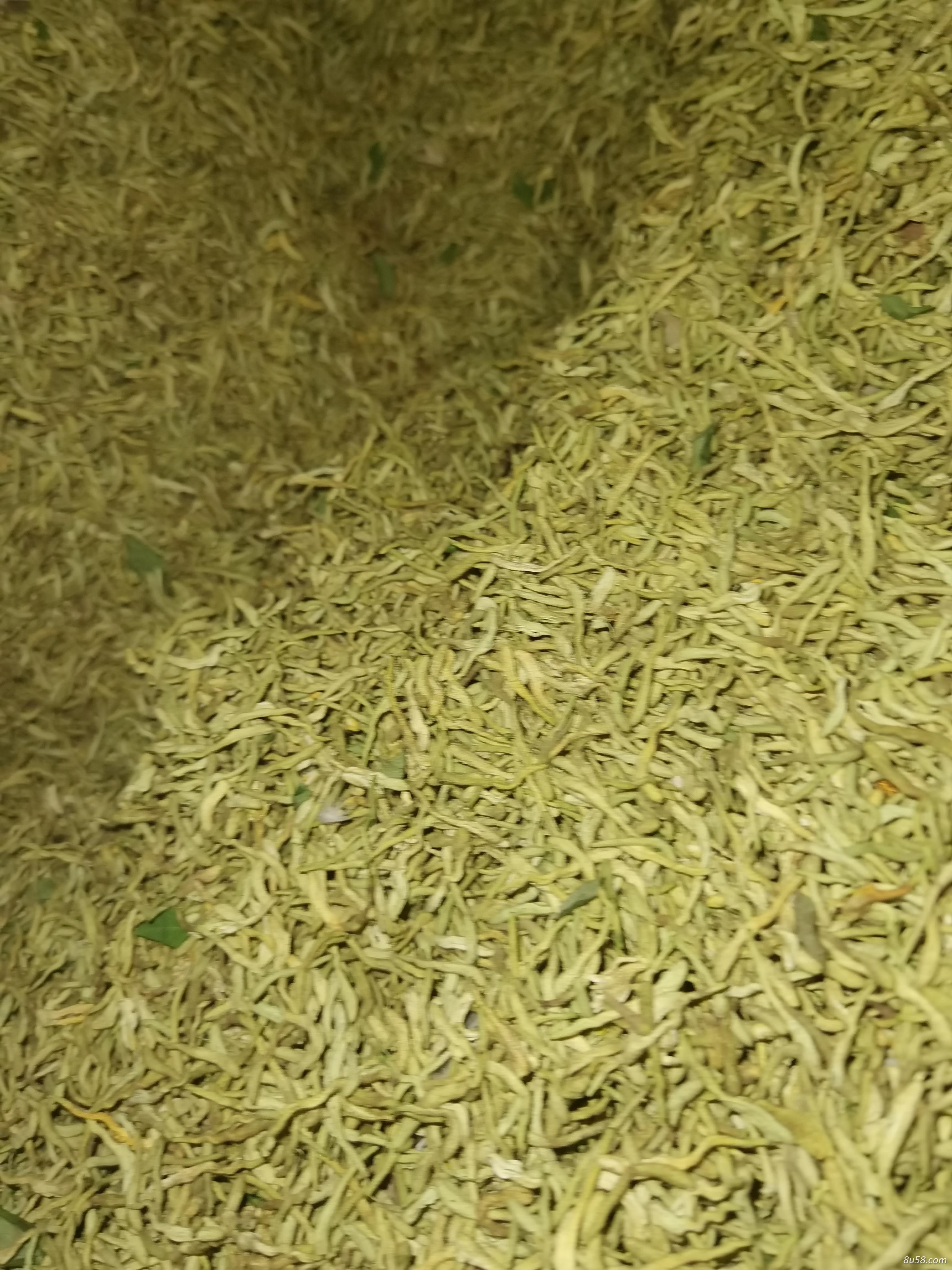 出售今年头茬金银花干货