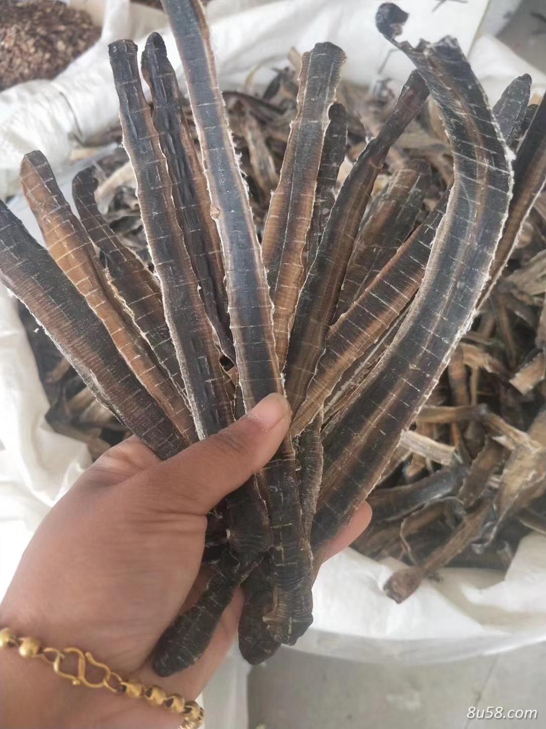 长期供应全开地龙干货