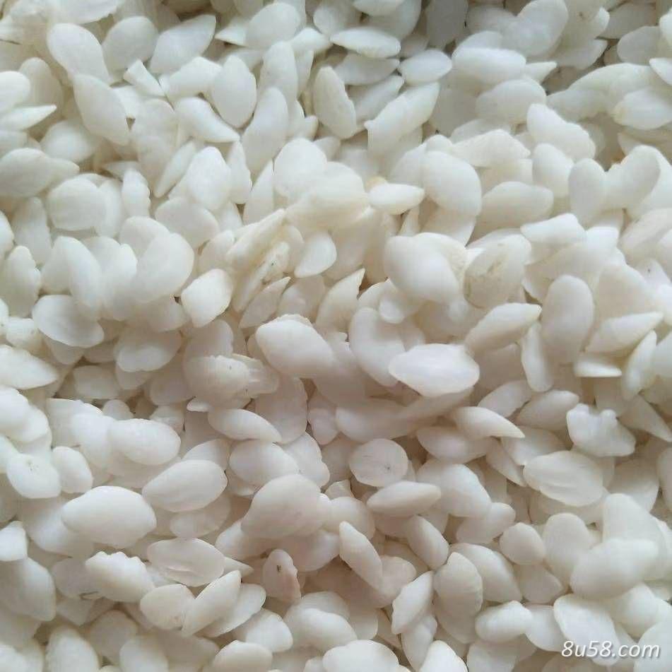 大量供应鱼脑石