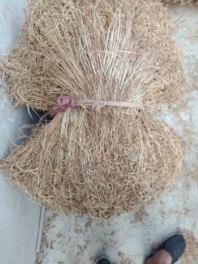 灵香草出售