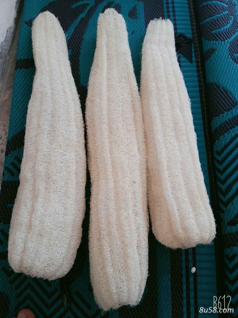 埃及进口丝瓜络 埃及进口丝瓜络