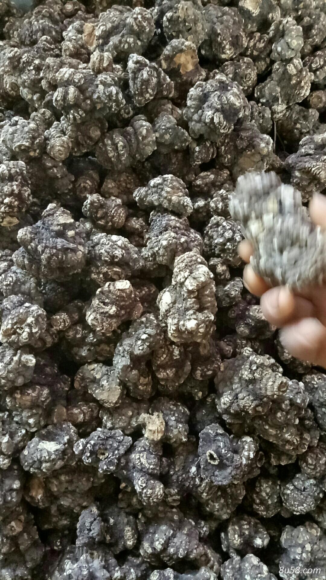 川芎炕货