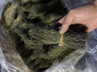 2020独脚金。新货。特绿
