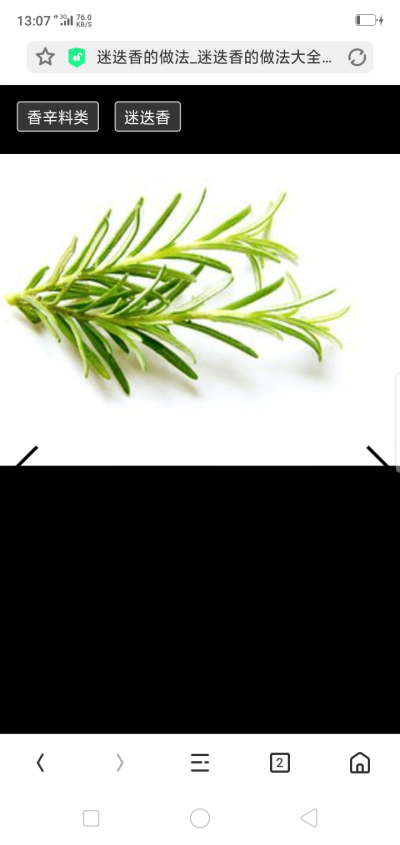 销售迷迭香干叶50吨