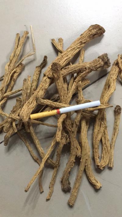 内蒙老乡出售大量防风