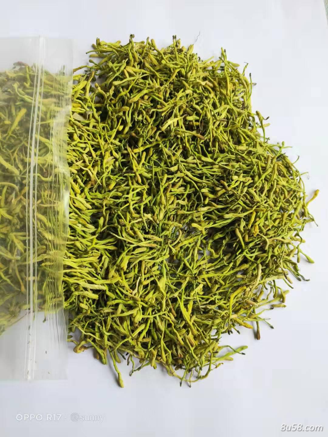 新上市金银花，欢迎各路老板采购