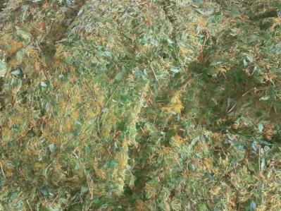 蒸汽五彩金银花13吨左右