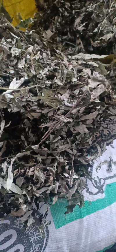 大量出售艾叶