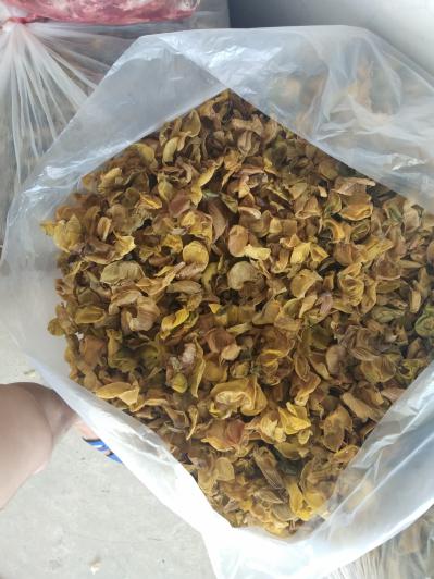 新鲜的鸡内金