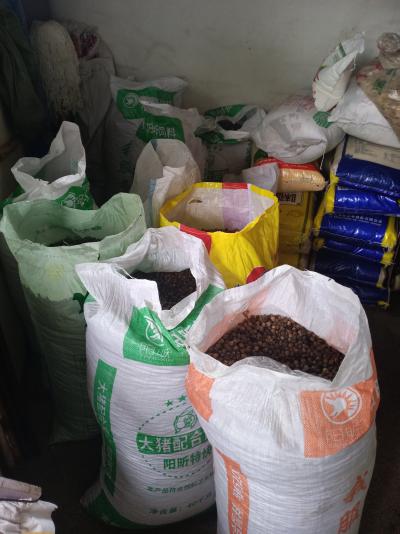 大量枳实供应，规格齐全