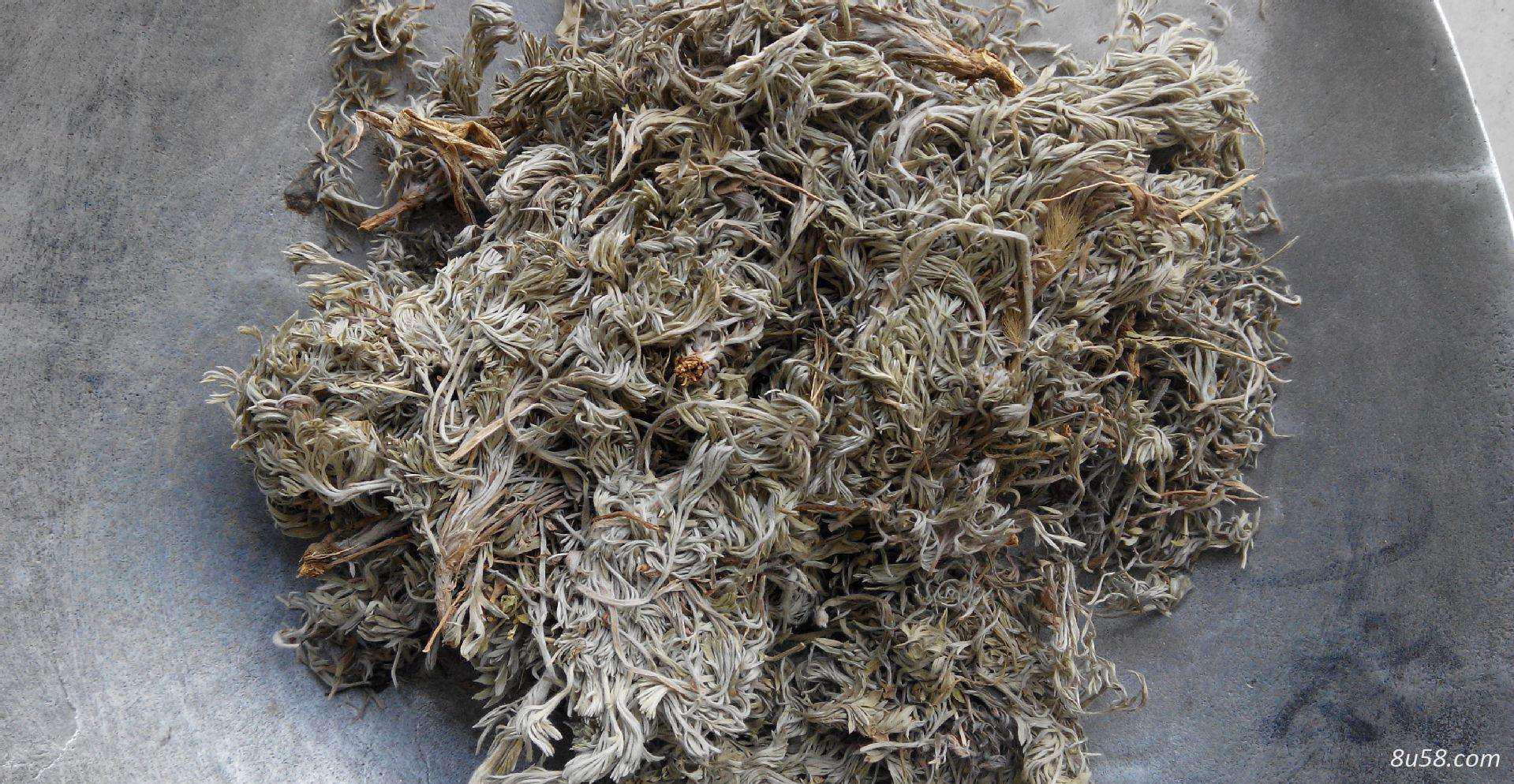 茵陈
