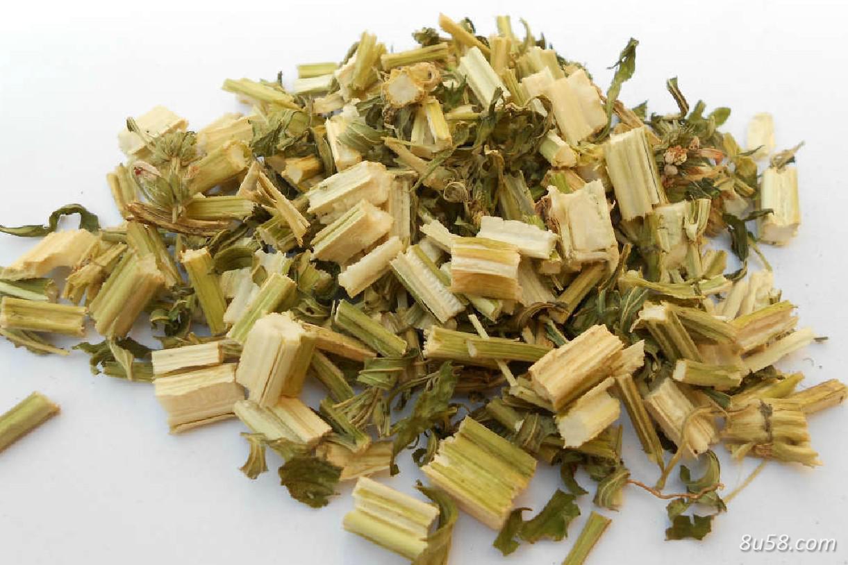 益母草