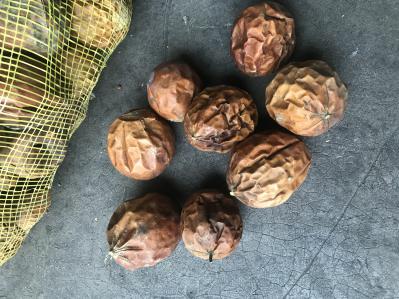 大量瓜蒌寻找收购商