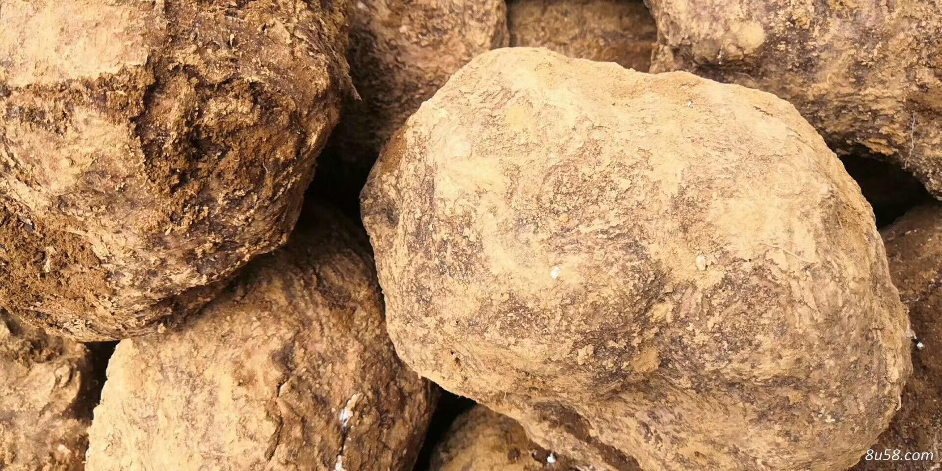 出售茯苓