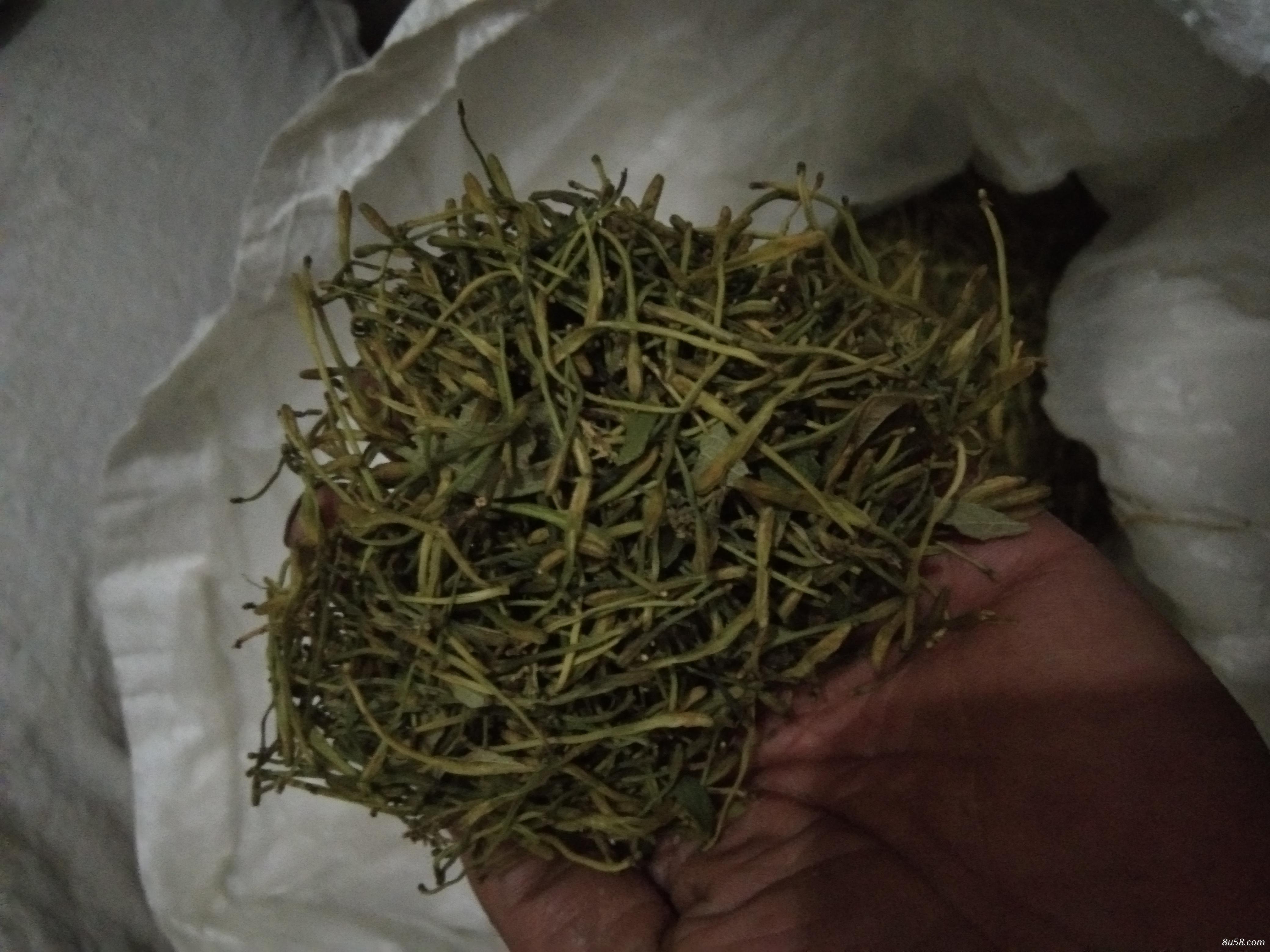 成品金银花，杀青，烘干