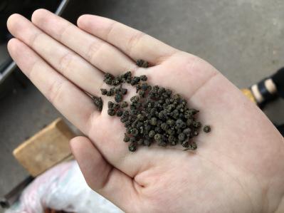 吴茱萸，茶蜡