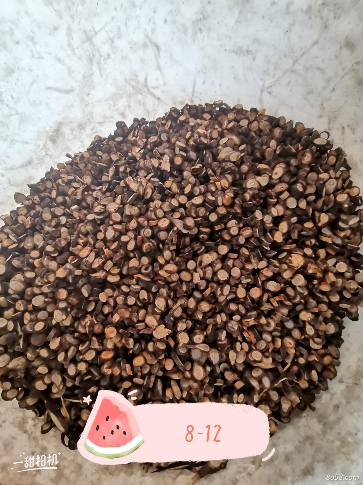 广西肉桂,桂枝粒,桂枝枝,桂皮 广西肉桂,桂枝粒,桂枝枝,桂皮
