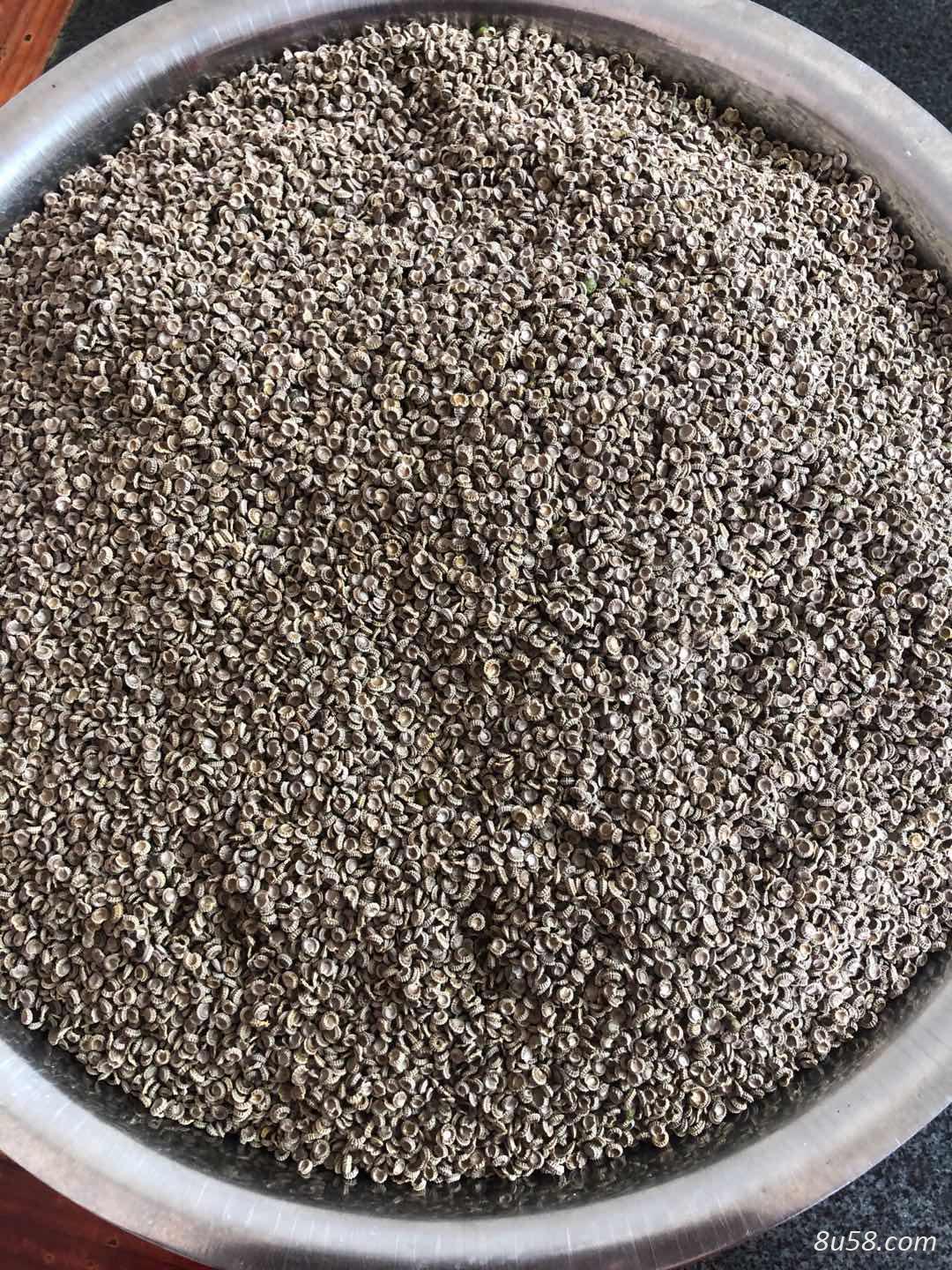 粉防己干货种子 粉防己干货种子
