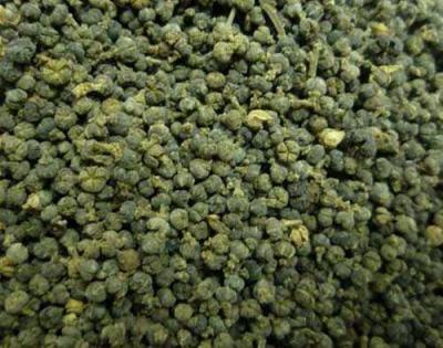 农家绿色有机自产吴茱萸