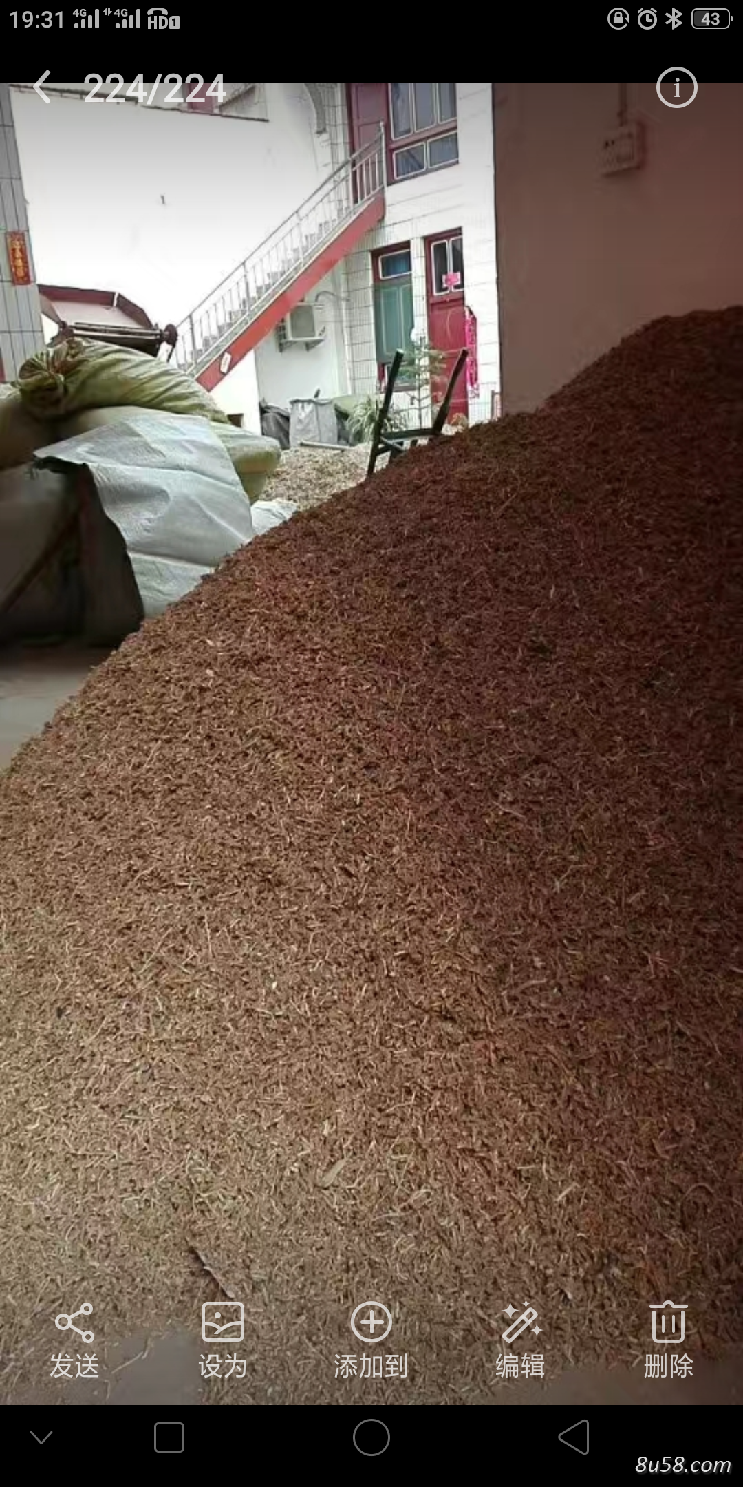 出售远志节了，远志二节