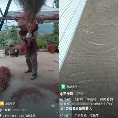 地肤子供应（自家2020新500斤，希望山西灵石玉成上门采购）