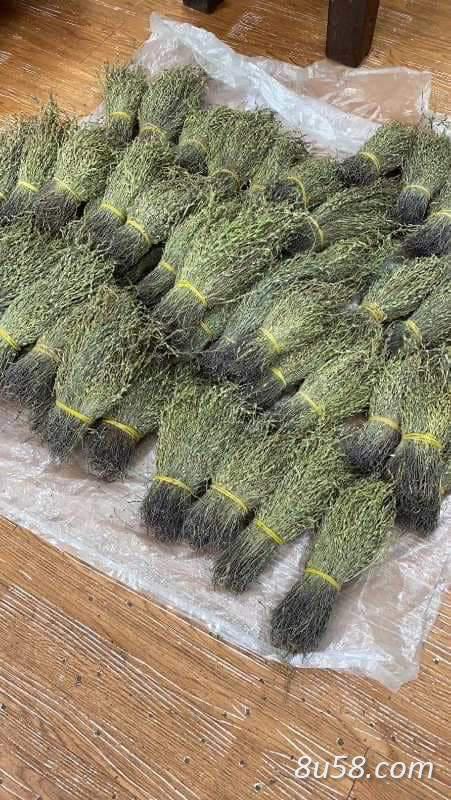 大量独脚金价格美丽