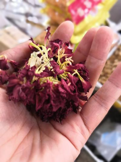 康仙花批发零售价格优惠