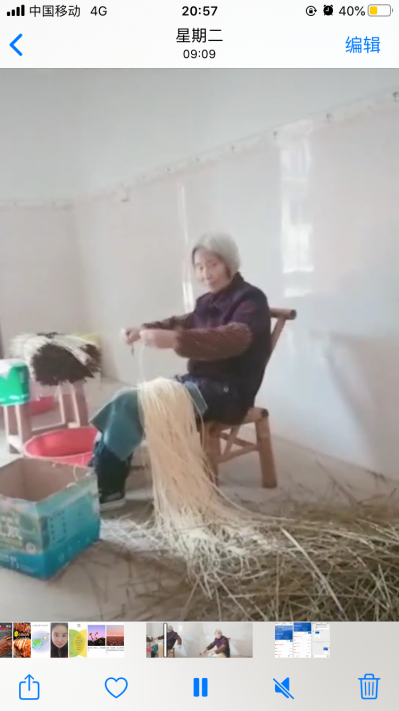 灯芯草的故乡