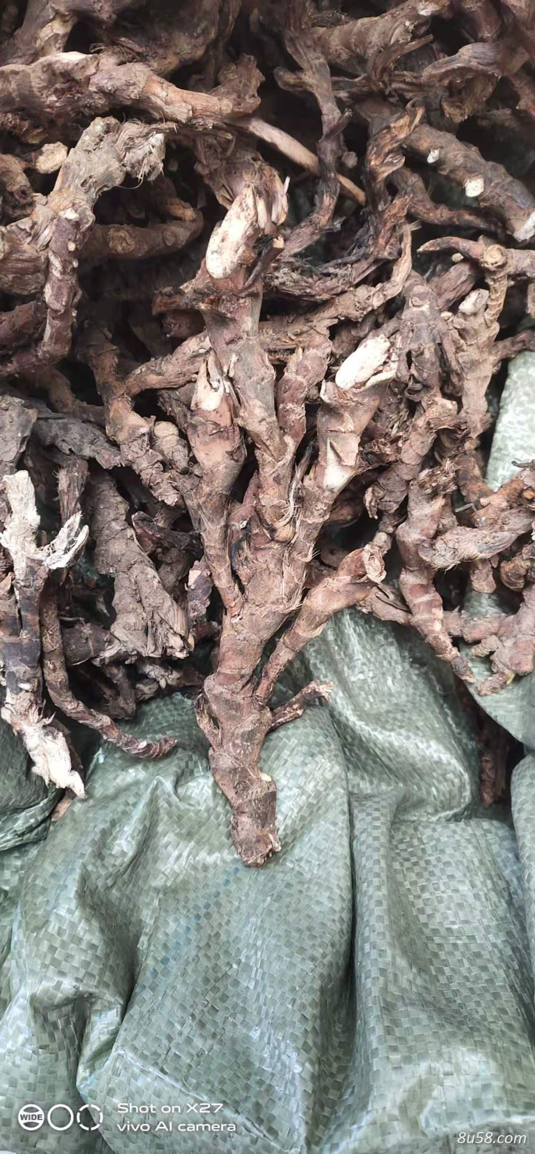 石菖蒲